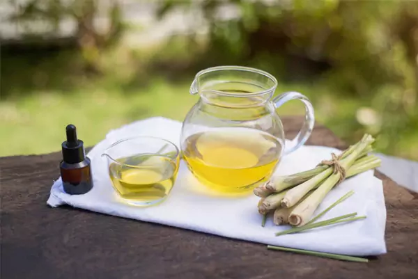 Lemongrass Essential Oil for Plants