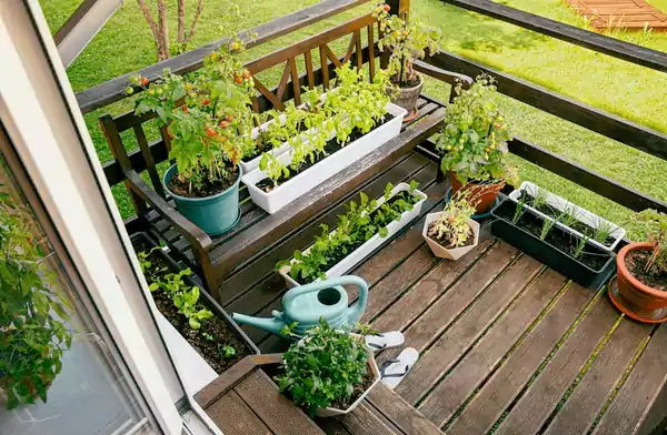 Balcony Garden