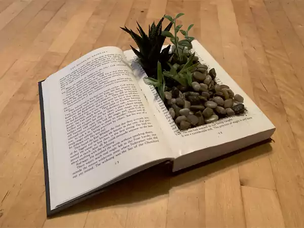 Books Planters