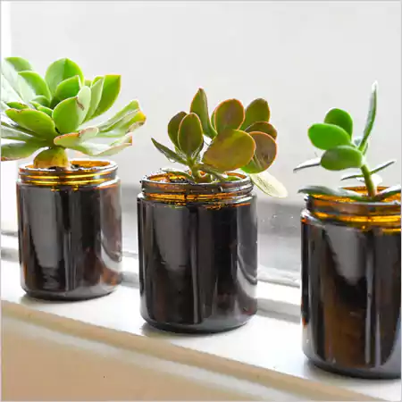 Candle Handle Planters