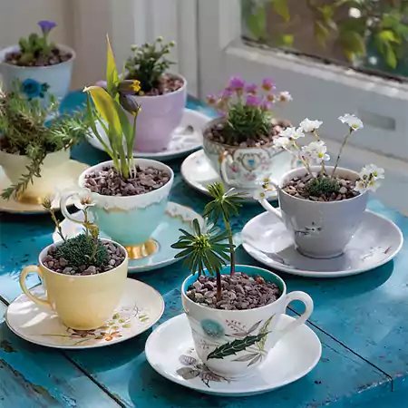 Coffee Mugs and Teacups Planters