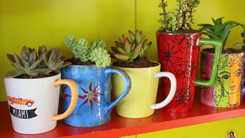 Coffee Mugs and Teacups Planterss