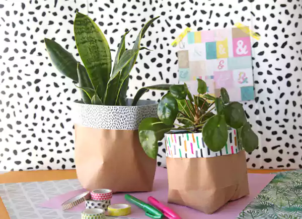 Paper Bag Planters