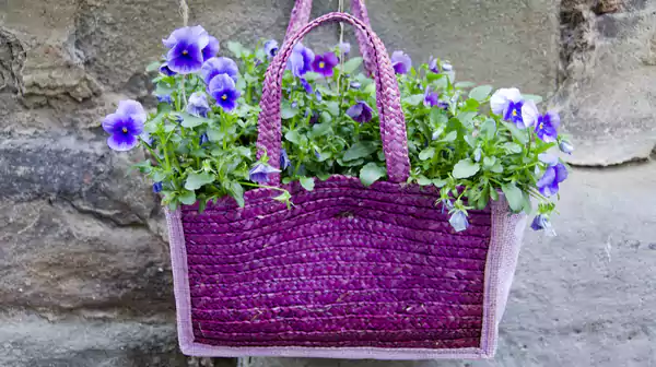 Purse Planters