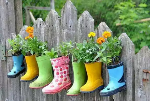 Shoe Planters