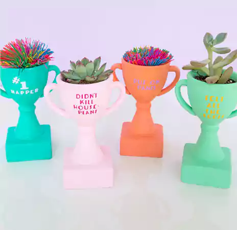 Trophies Planters