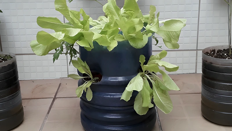 Water Dispenser Planter