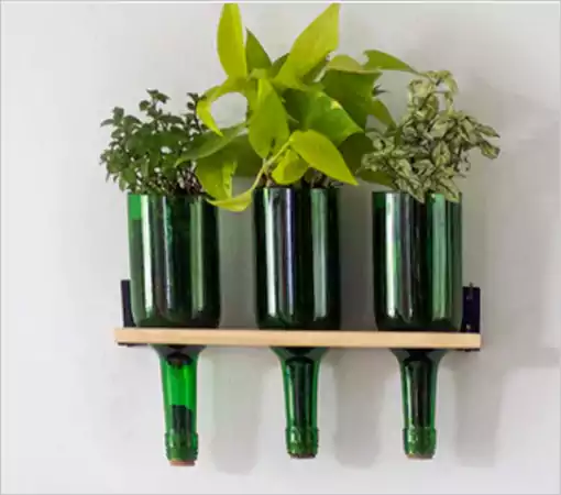 Wine Bottles Planters