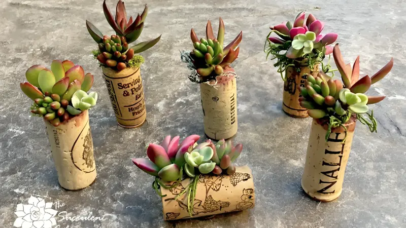 Wine Cork Planterss