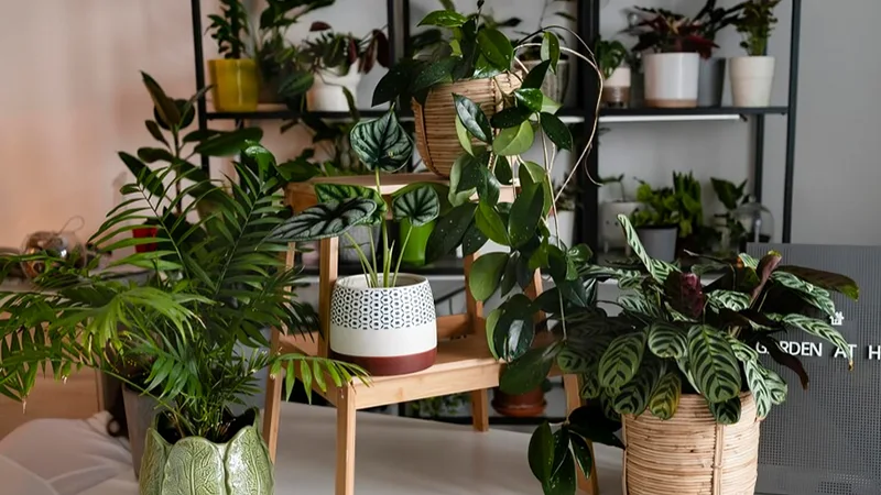 balcony garden