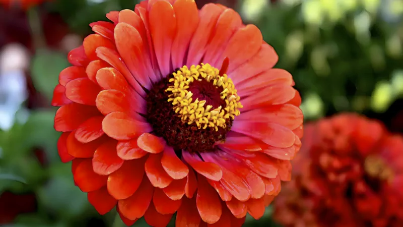 twenty image