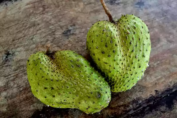 Soursop fruit