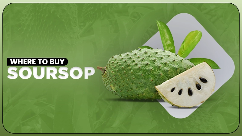 soursop