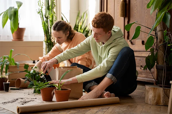 Building a Greenhouse