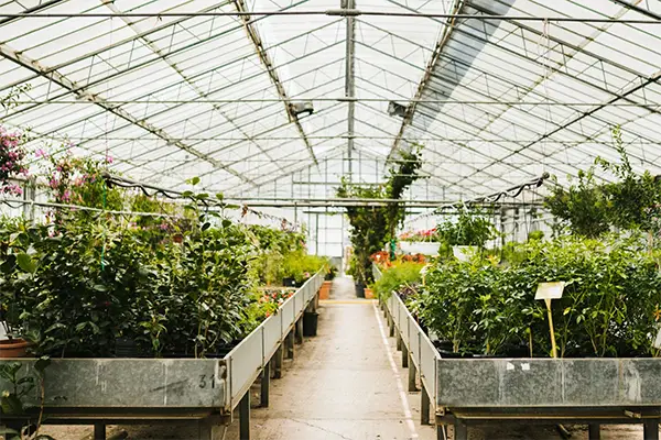 Increasing Property Value With Functional Beauty