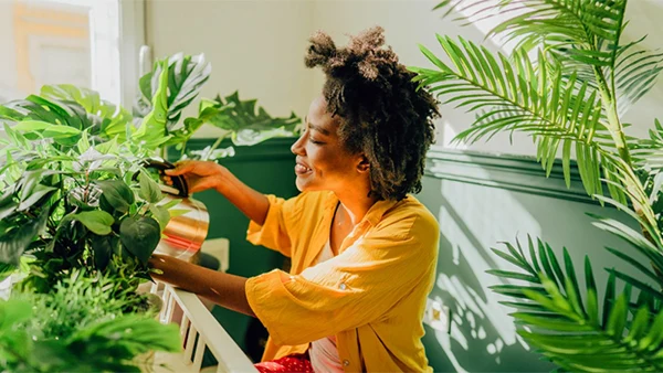 Keeping Living Plants In Your Home