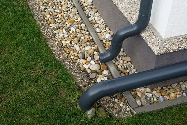 Landscaping, Drainage, and Pest Prevention