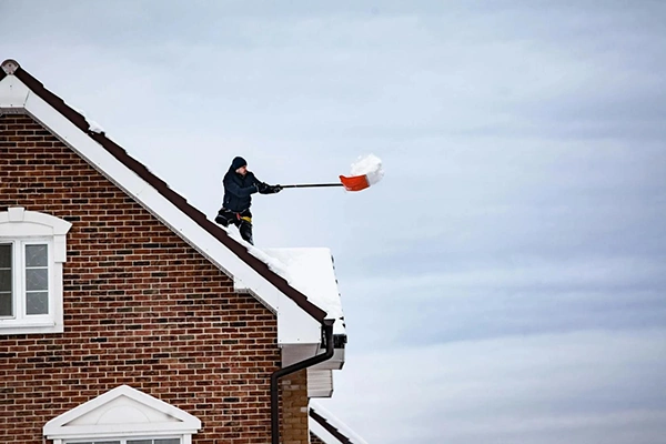 Regular maintenance of roof
