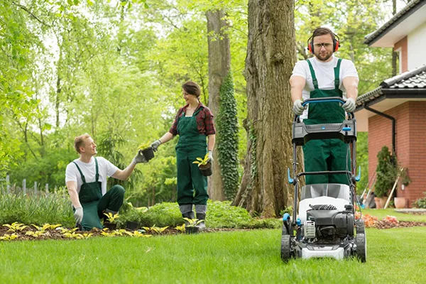 Seasonal Lawn Care