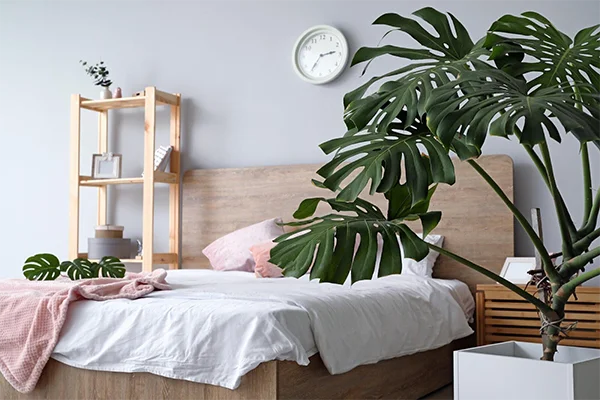 Space in Modern Bedrooms