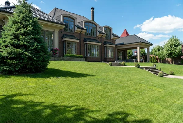 beautiful lawn