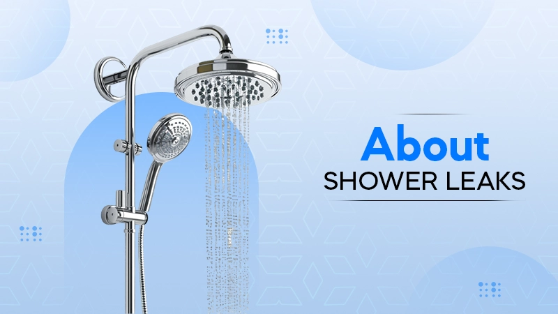 hidden truths about shower leaks