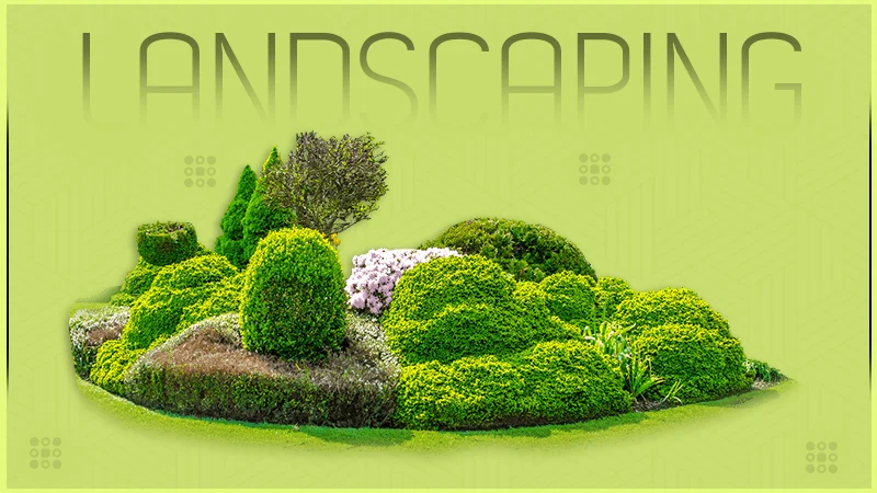 landscaping