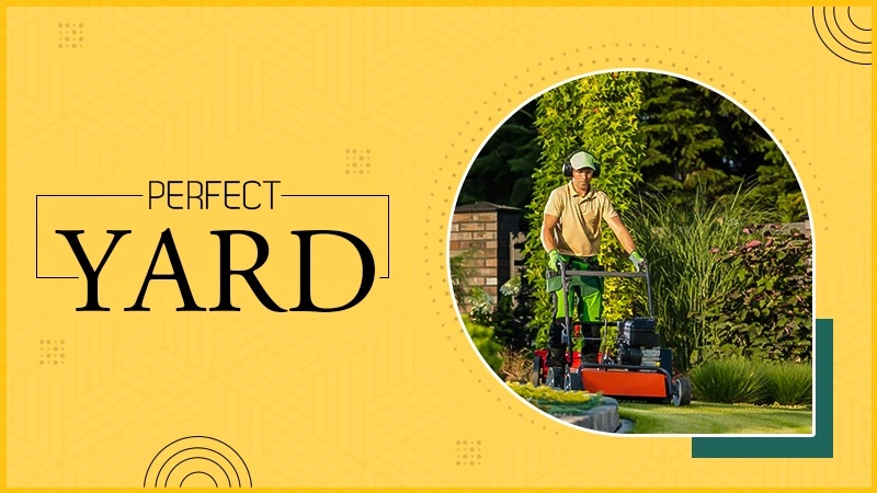 lawn care tips for a perfect yard