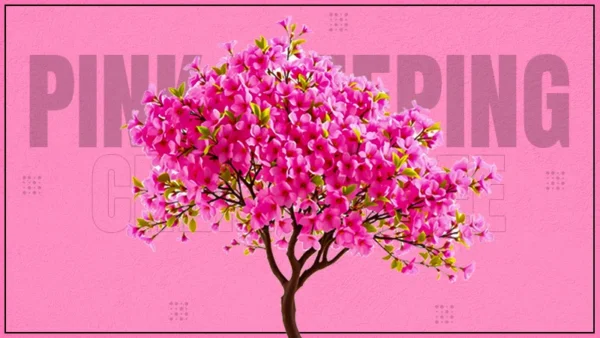 pink weeping cherry tree