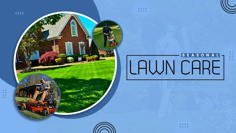 seasonal lawn care