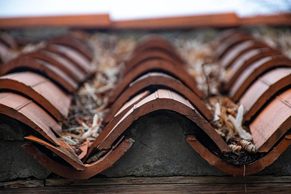Roof Damage Risks