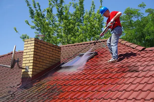 Roof cleaning