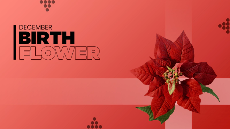 birth Flowers