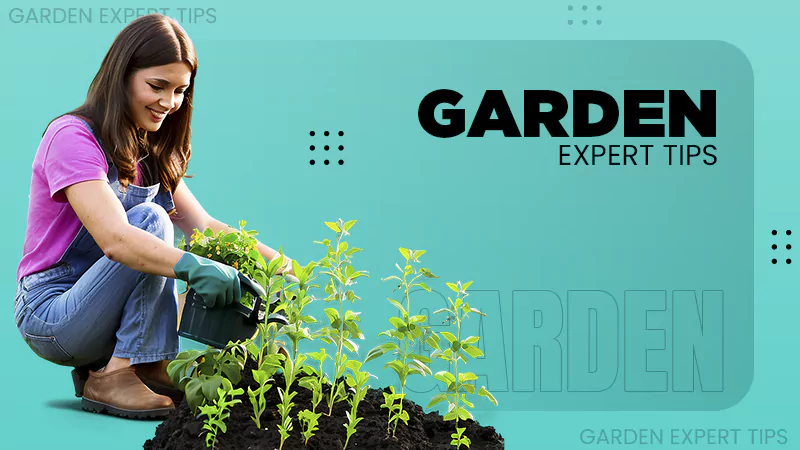 garden-expert-tips