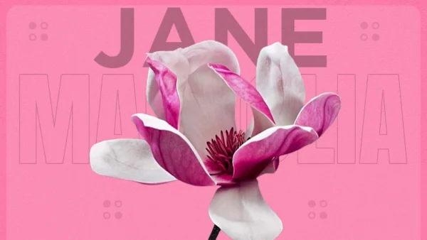 jane magnolia