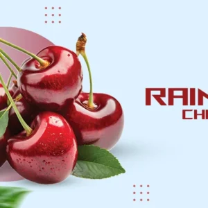 rainier-cherries