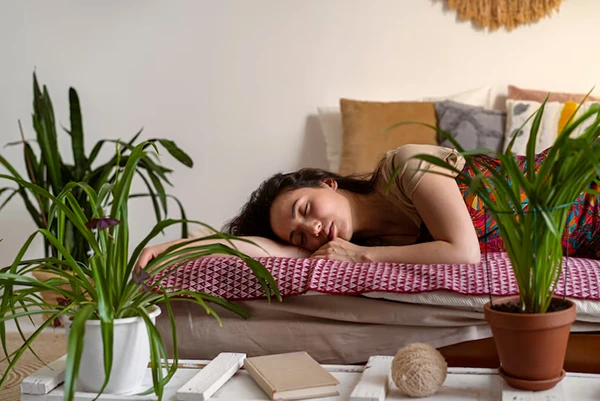 Air-Purifying Bedroom Plants for Deeper Sleep
