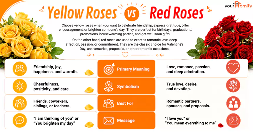 Yellow Roses vs Red Roses
