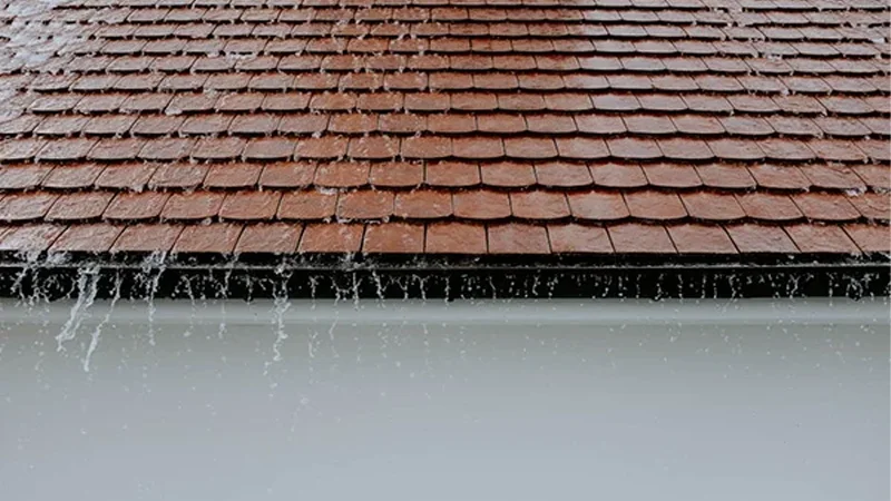 d-Home Drainage