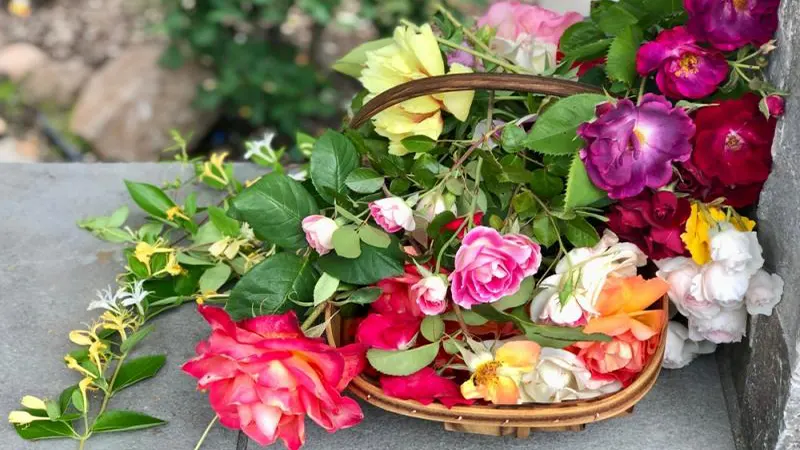 d-June Birth Flower