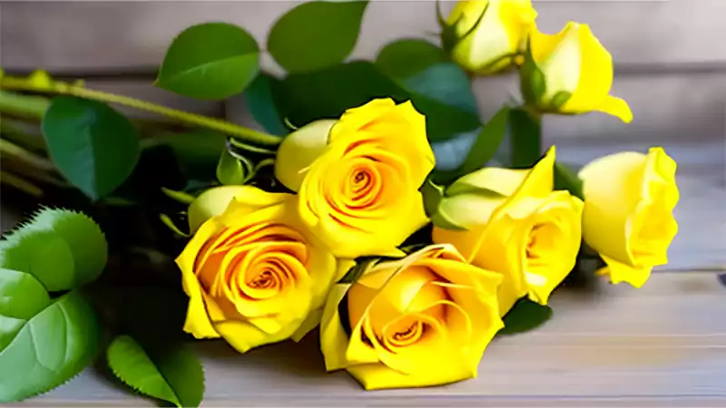 d-Yellow Roses Meaning