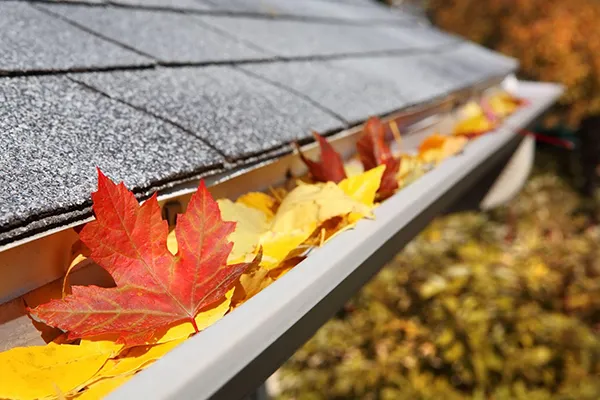 home exterior cleaning