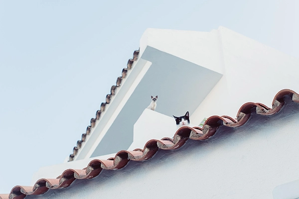 roof replacement projects
