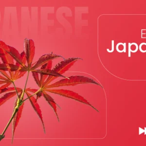 Emperor Japanese Maple