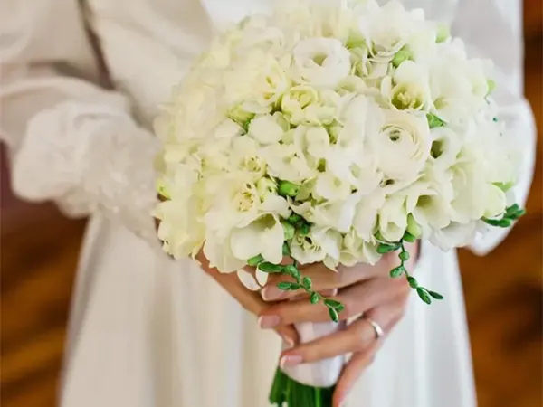 Freesia flower image