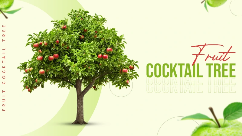 Fruit Cocktail Tree