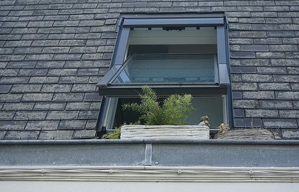 Protection Against Fire and Mold