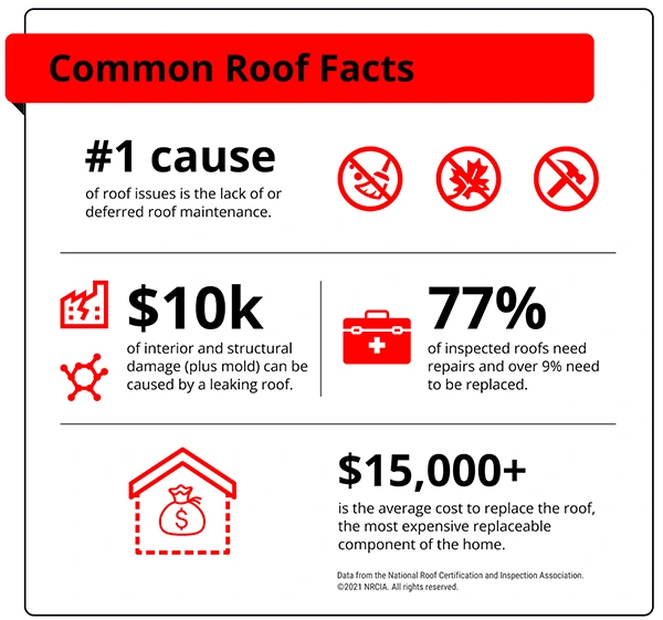 common roof facts
