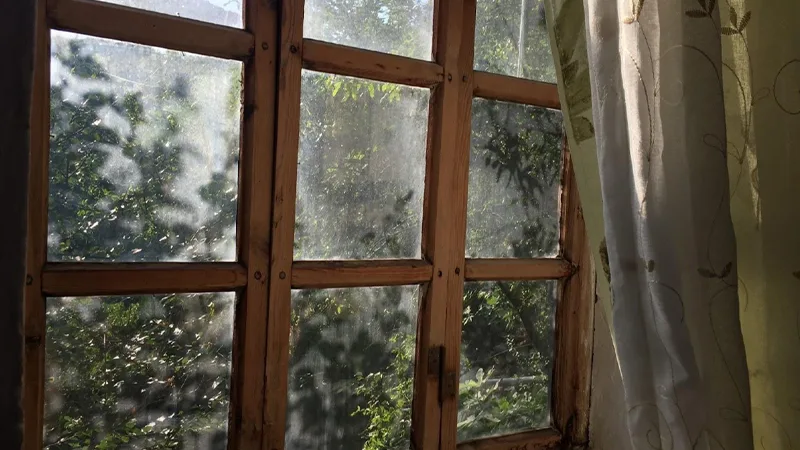 d-Window Replacement