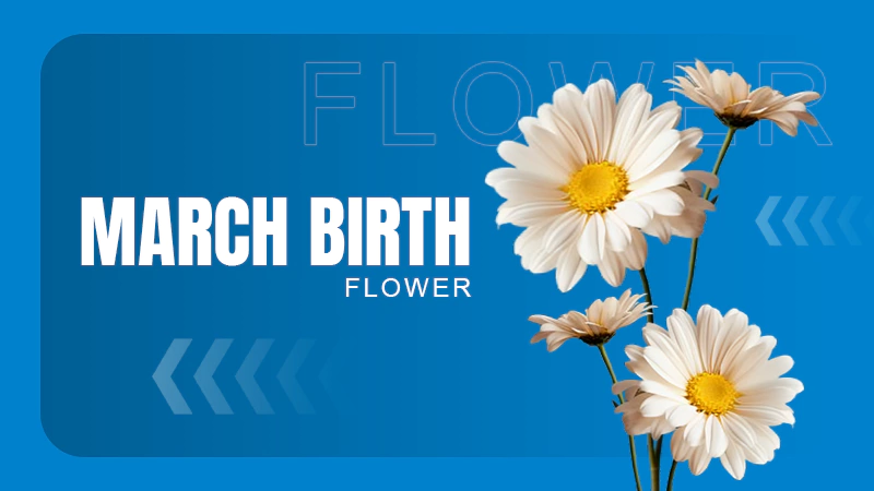 march birth Flowers